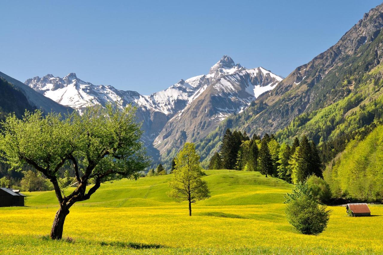 Ferienwohnung Baldauf Oberstdorf Dış mekan fotoğraf